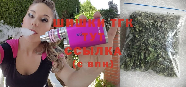 дживик Протвино
