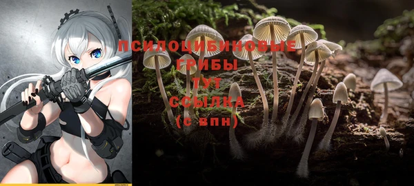 дживик Протвино