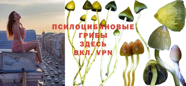 соль ск Пролетарск