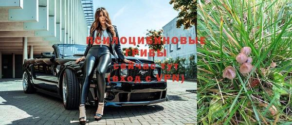 дживик Протвино