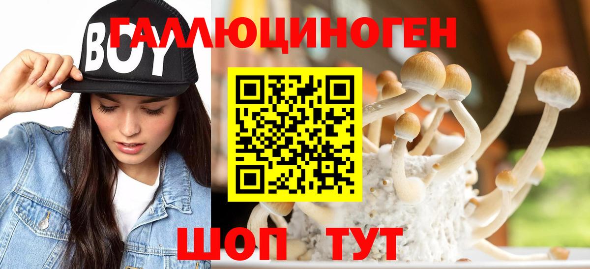 Красноармейск  Галлюциногенные грибы MAGIC MUSHROOMS  Вход с VPN 